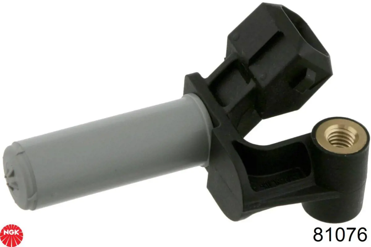 NGK 81076