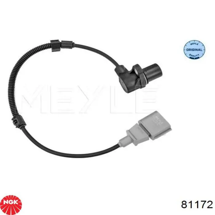 NGK 81172