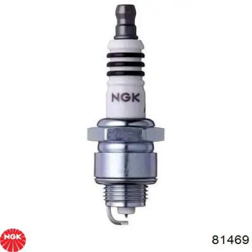 NGK 81469