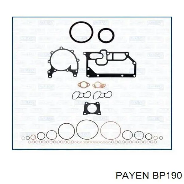 BP190