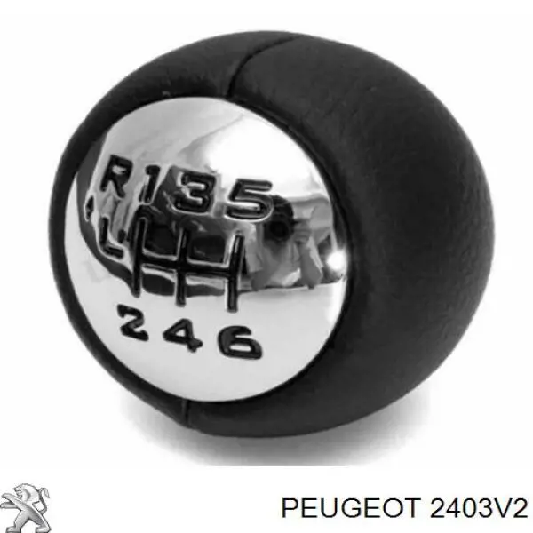 2403V2 Peugeot/Citroen