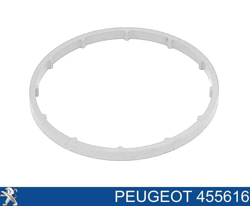 455616 Peugeot/Citroen