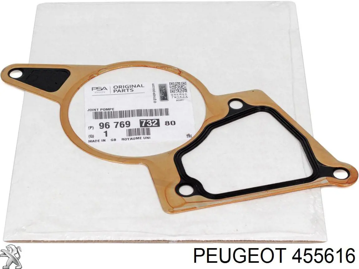 Peugeot/Citroen 455616