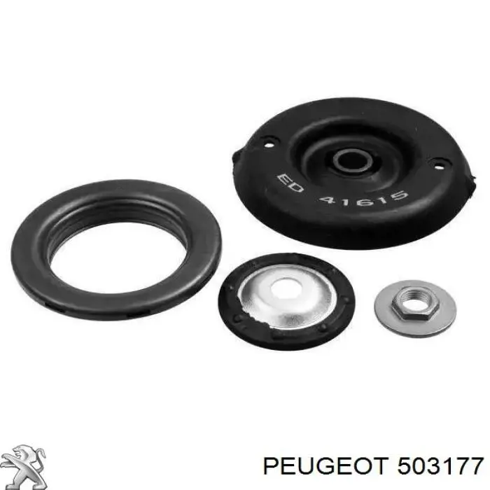 503177 Peugeot/Citroen