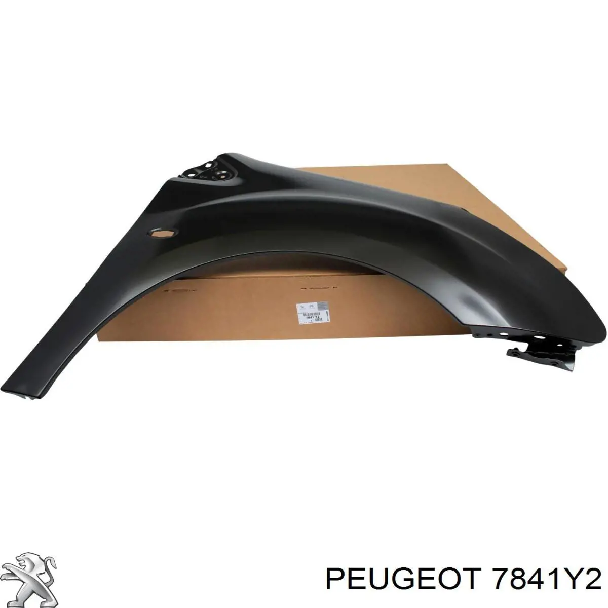Peugeot/Citroen 7841Y2
