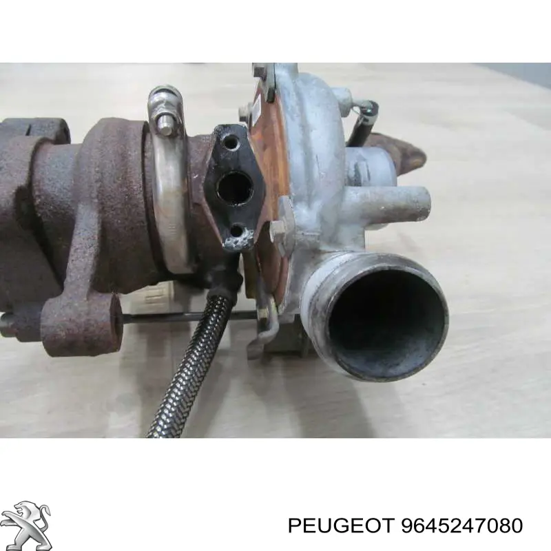9645247080 Peugeot/Citroen