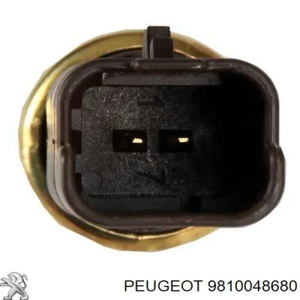 Peugeot/Citroen 9810048680