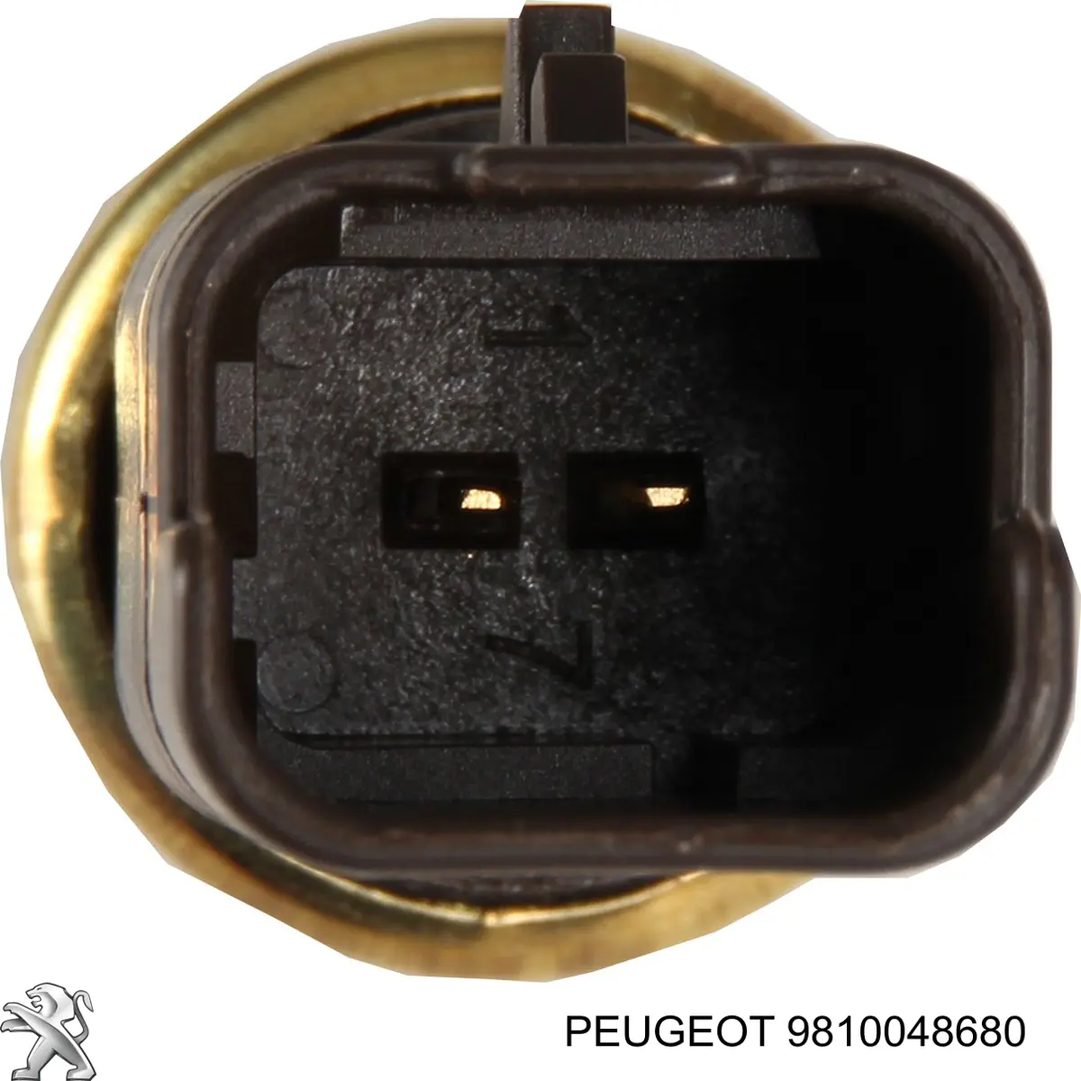 Peugeot/Citroen 9810048680