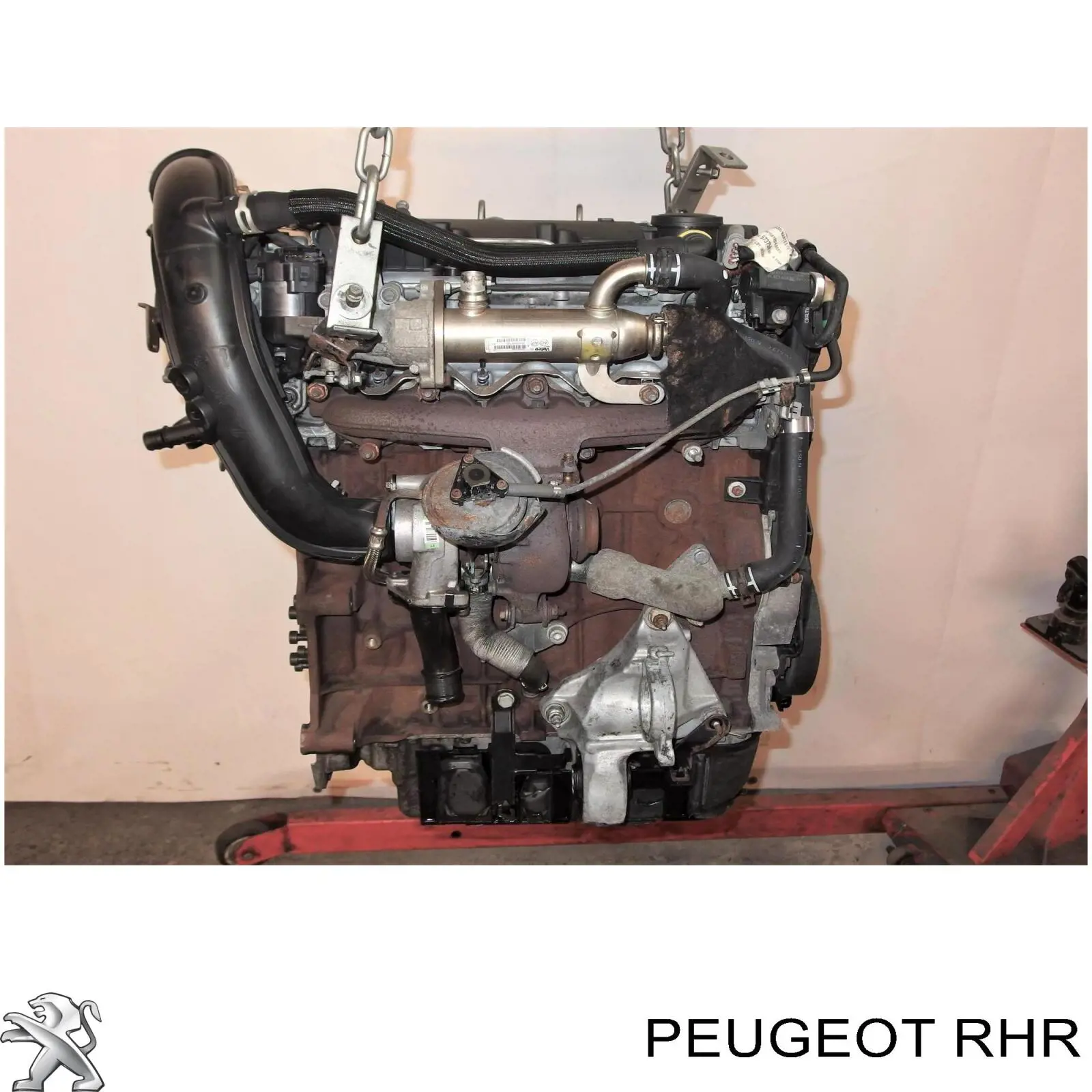 Peugeot 307  Motor fiyatları
