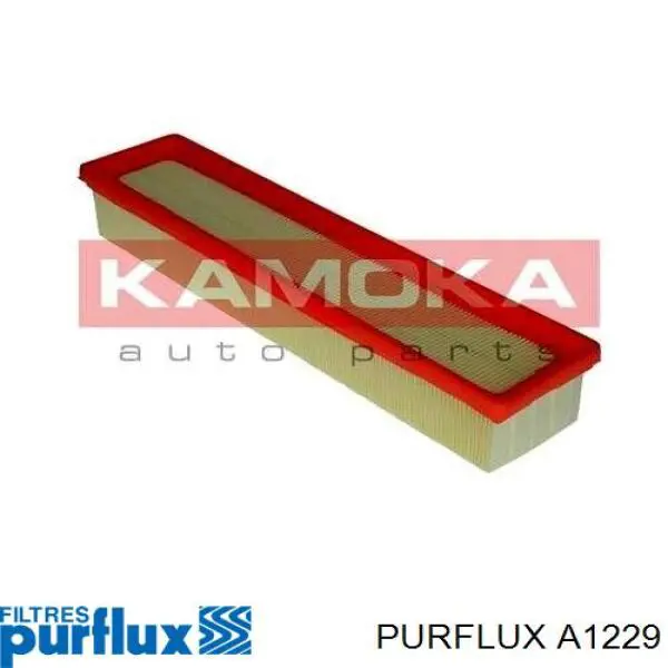 A1229 Purflux
