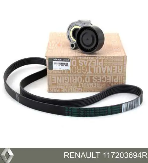 117203694R Renault (RVI)