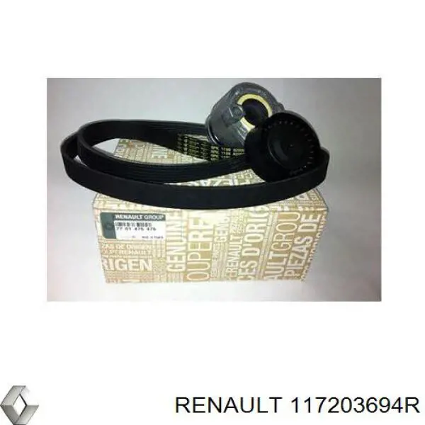Renault (RVI) 117203694R