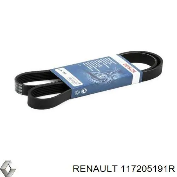 117205191R Renault (RVI)