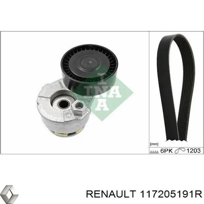 Renault (RVI) 117205191R