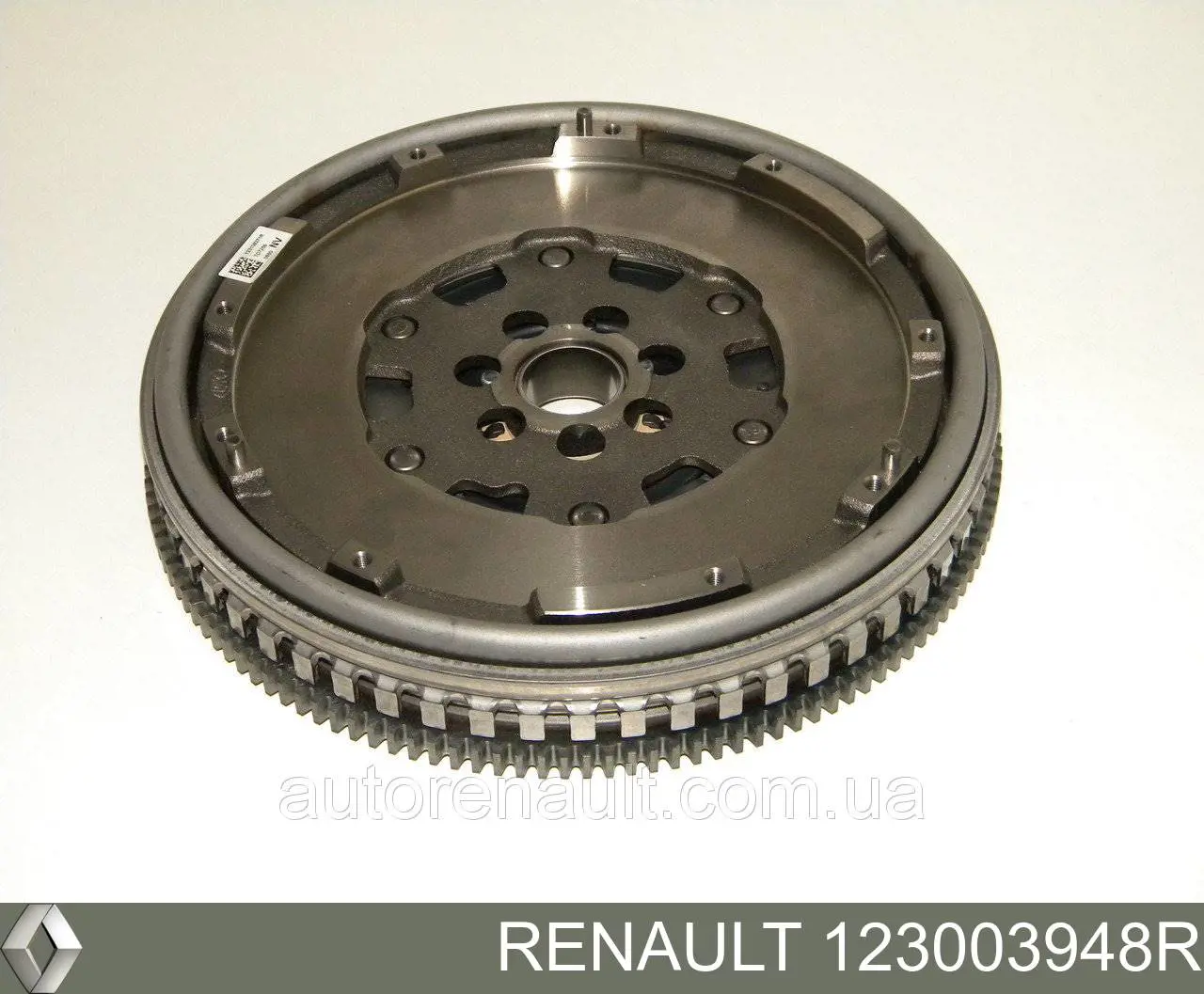 123003948R Renault (RVI)