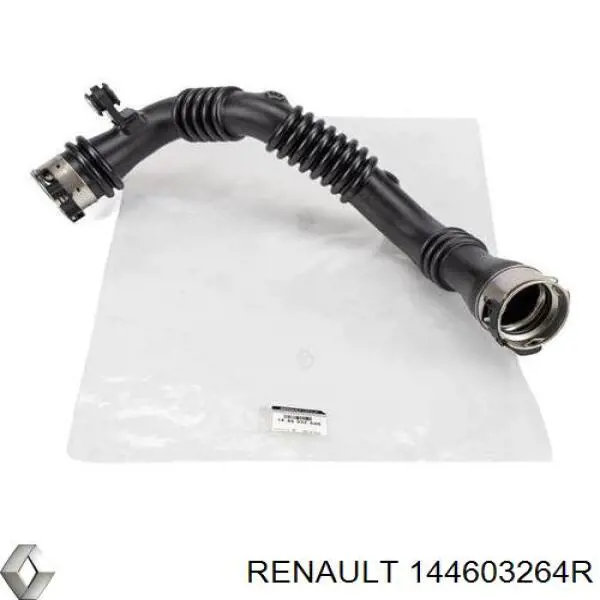 144603264R Renault (RVI)
