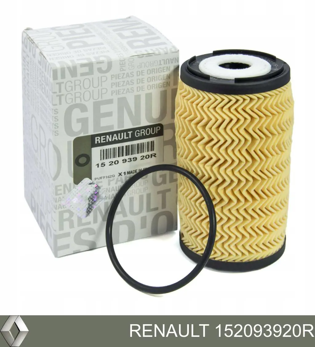 152093920R Renault (RVI)