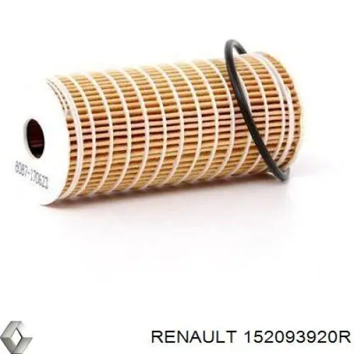 Renault (RVI) 152093920R