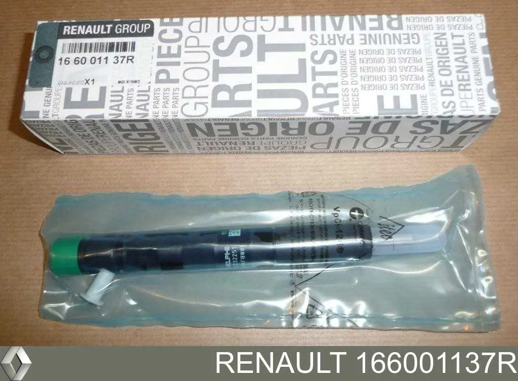 Renault (RVI) 166001137R