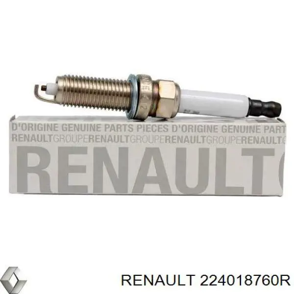 Renault (RVI) 224018760R