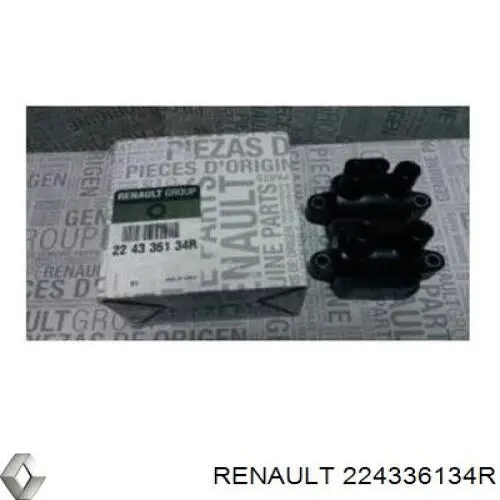 224336134R Renault (RVI)