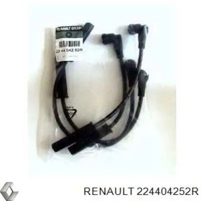 Renault (RVI) 224404252R