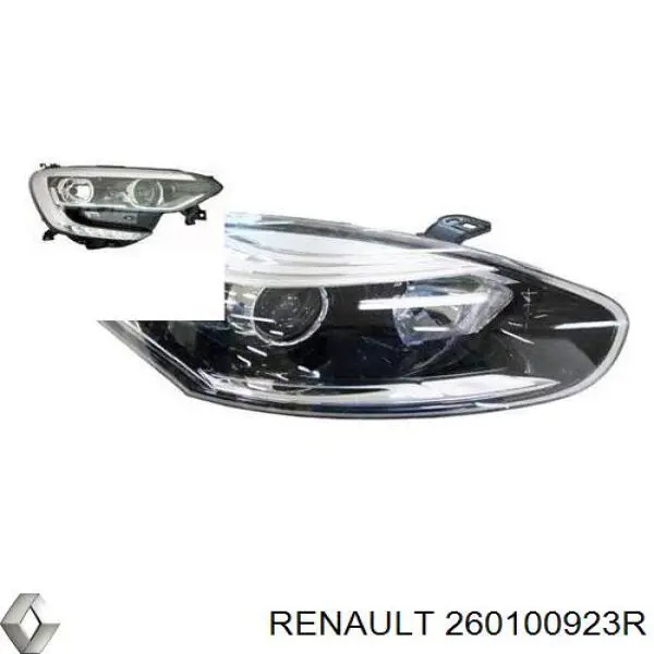 260100923R Renault (RVI)