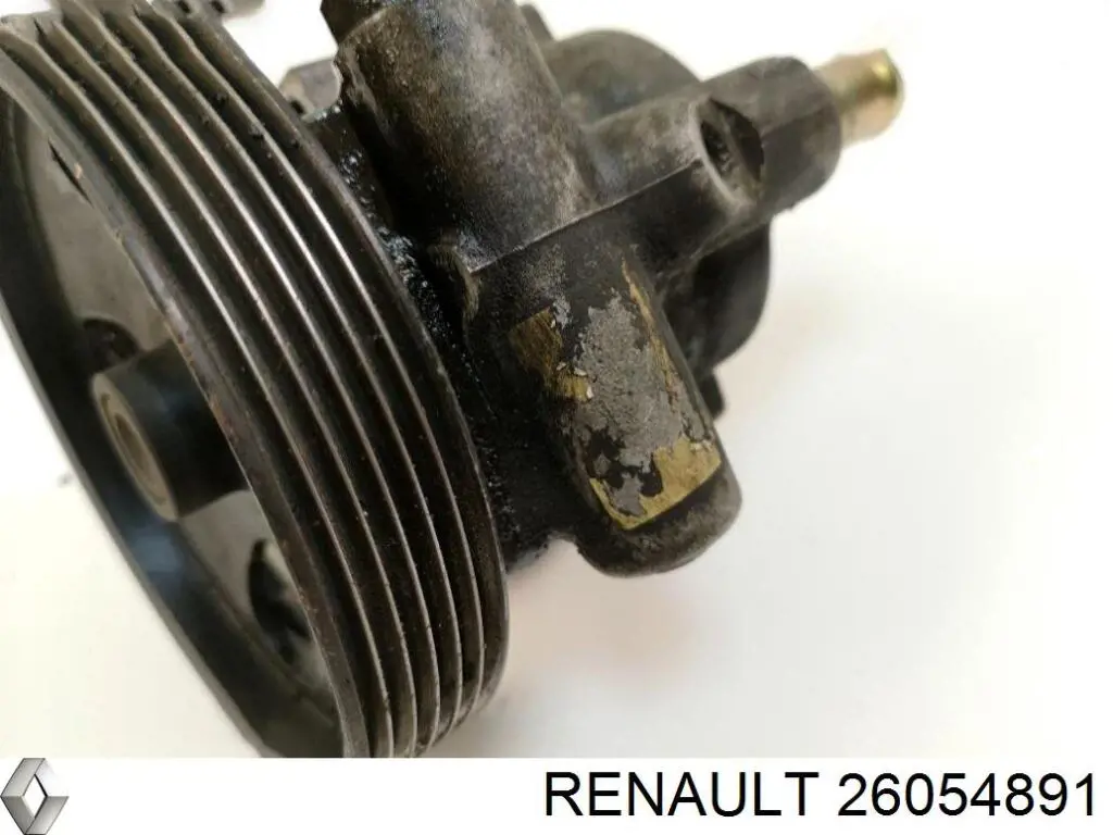 Renault (RVI) 26054891