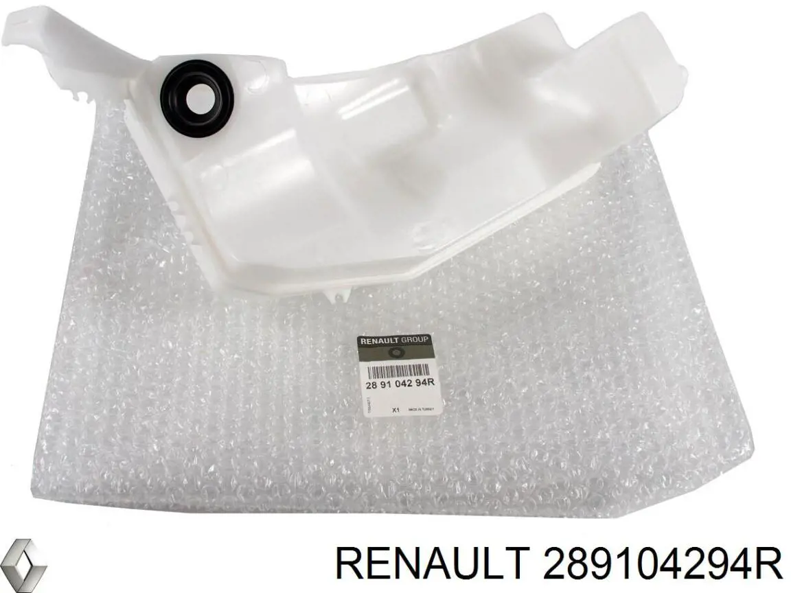 289104294R Renault (RVI)