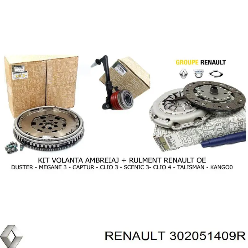 Renault (RVI) 302051409R