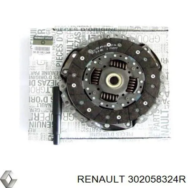 Renault (RVI) 302058324R