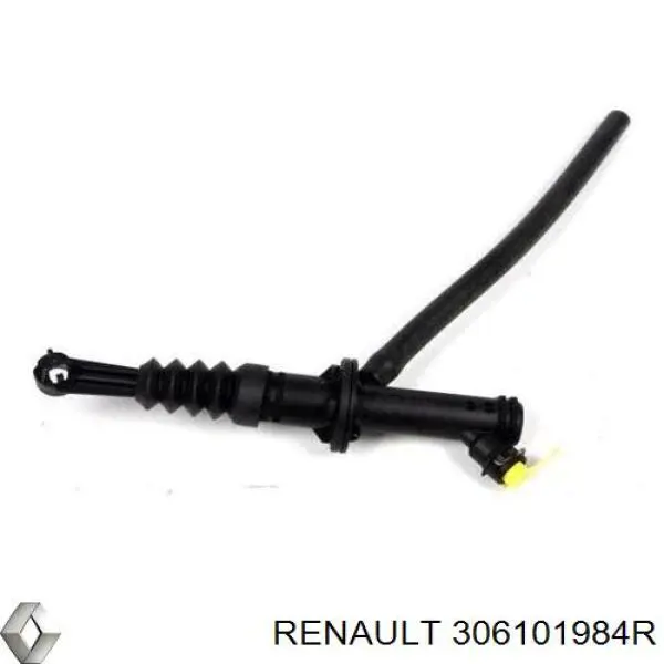 Renault (RVI) 306101984R