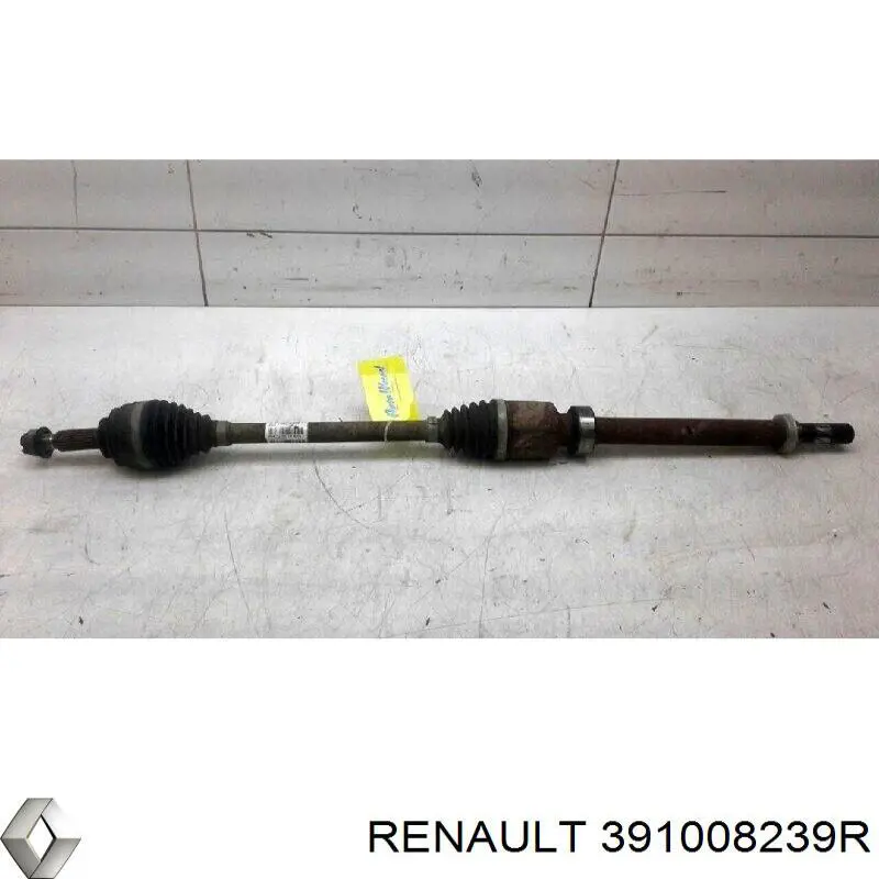 Renault (RVI) 391008239R