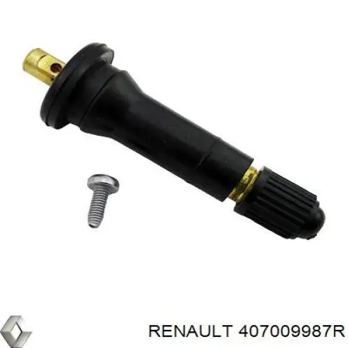 Renault (RVI) 407009987R