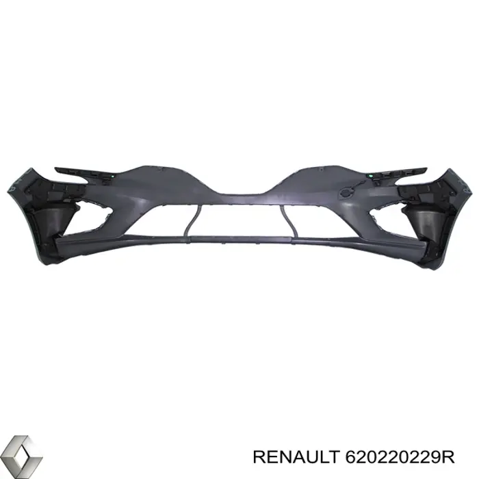 620220229R Renault (RVI)