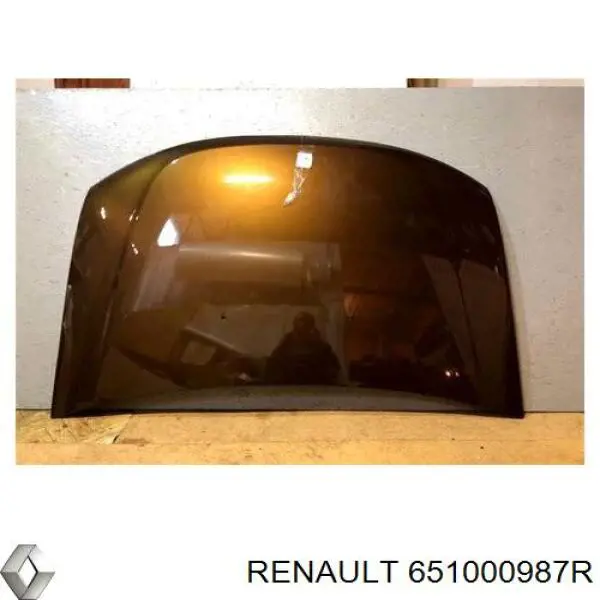 651000987R Renault (RVI)