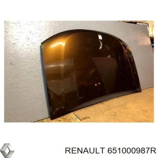 Renault (RVI) 651000987R