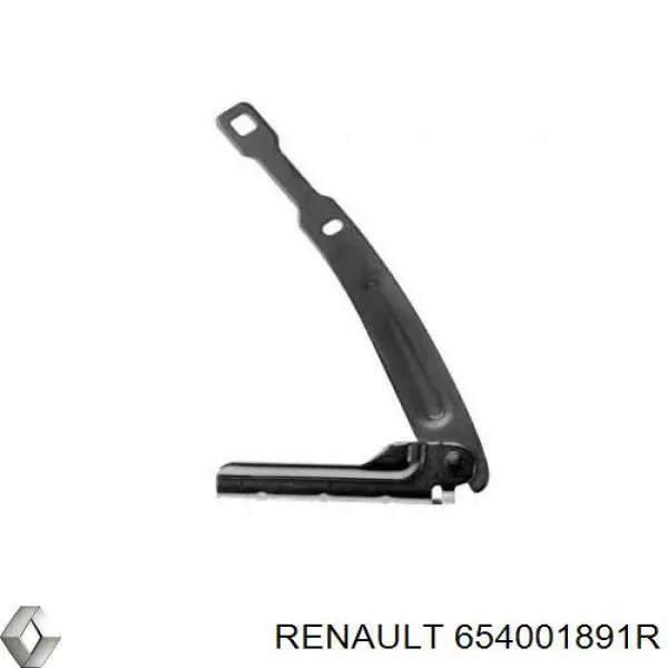 Renault (RVI) 654001891R