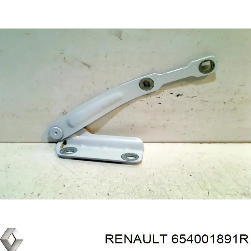 654001891R Renault (RVI)