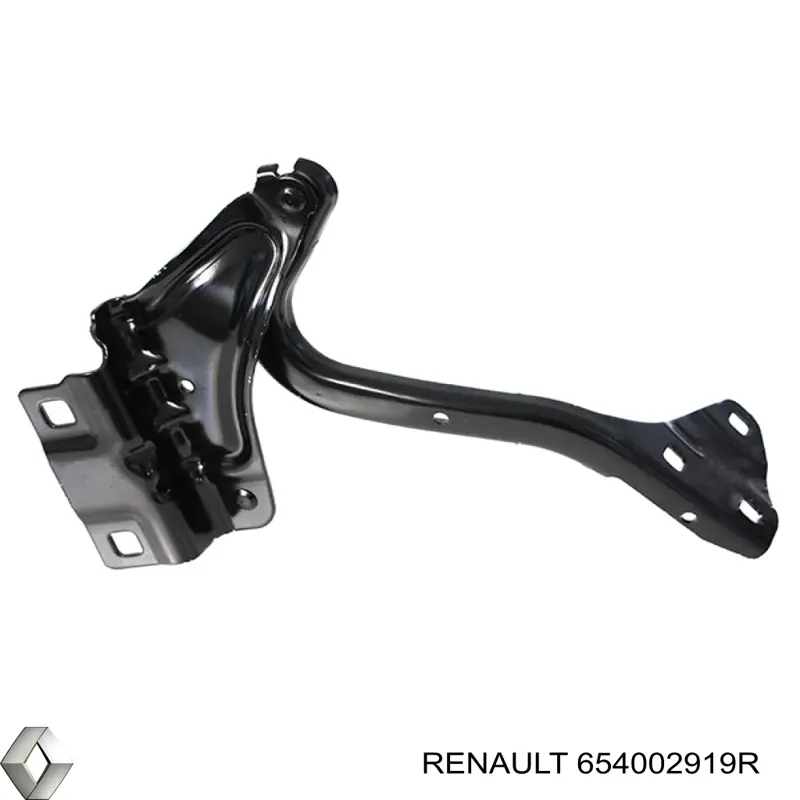 654002919R Renault (RVI)
