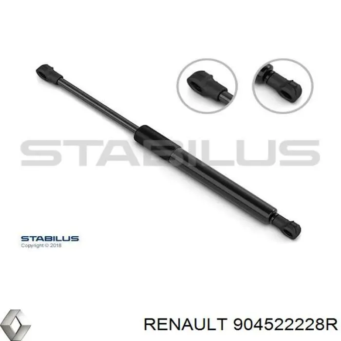 904522228R Renault (RVI)