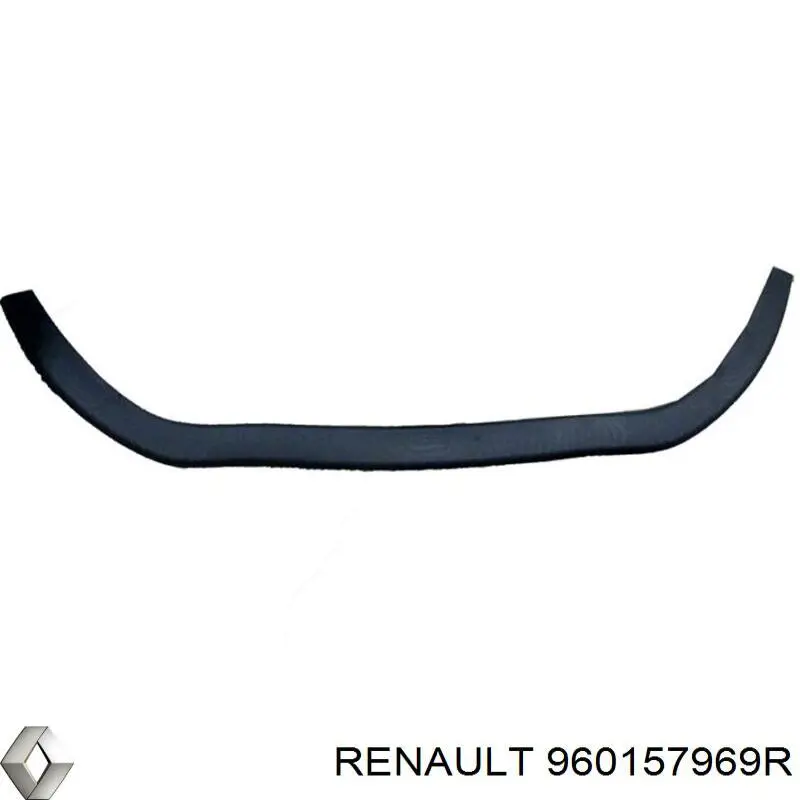 Renault (RVI) 960157969R