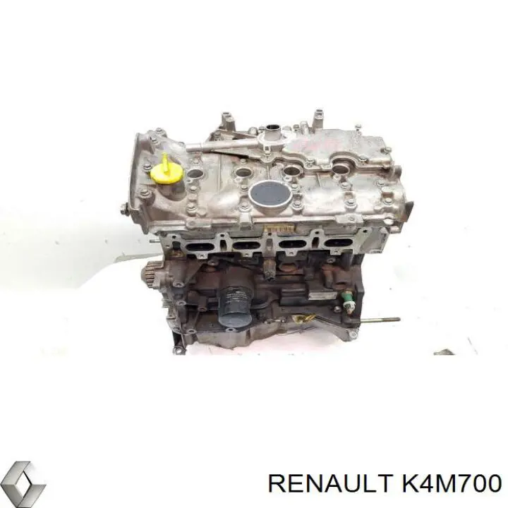 Renault Megane I (1996 - 2003) Motor komple 