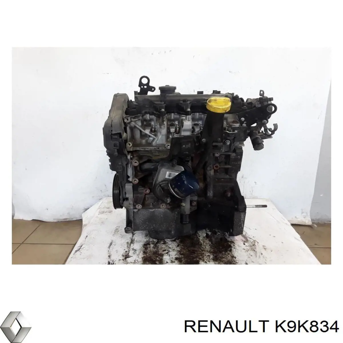 K9K834 Renault (RVI)