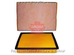 A33950 Sakura