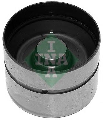 420004310 INA